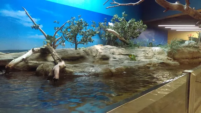 Texas State Aquarium