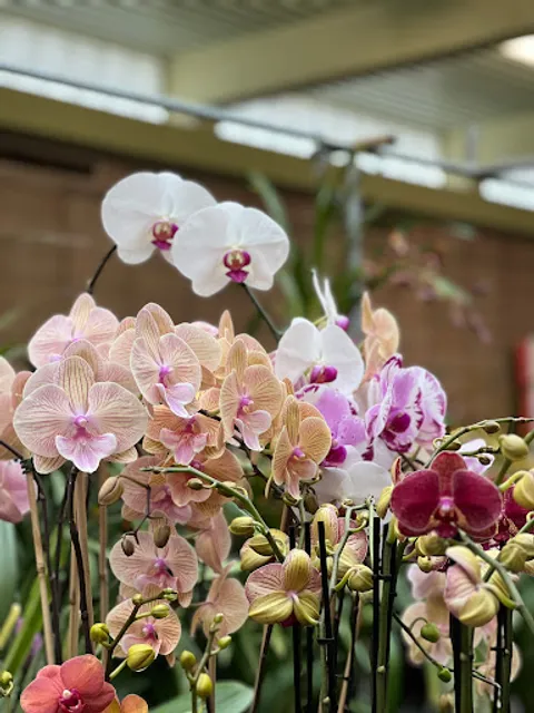 San Francisco County Fair Building