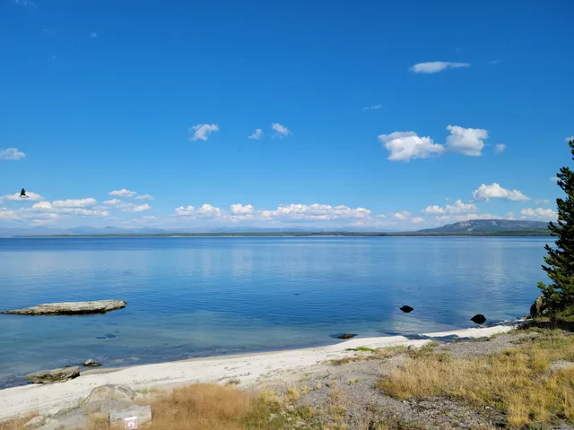 Yellowstone Lake Overlook Trail