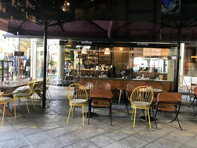 Blossom Owl Concept Shops