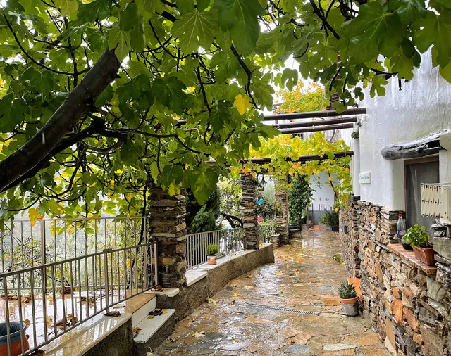 Houses the Picachico