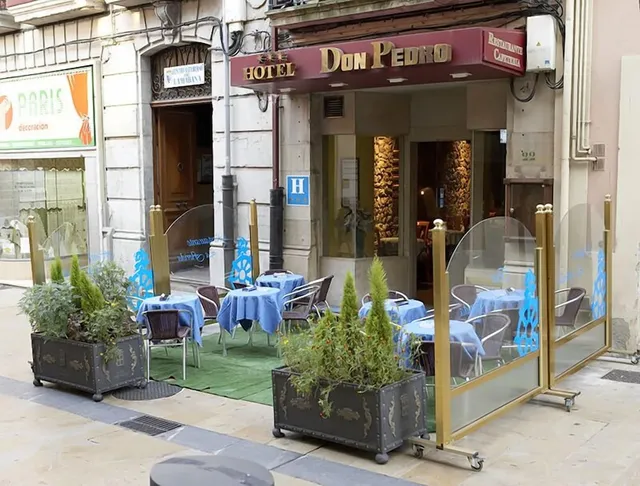 Hotel Don Pedro