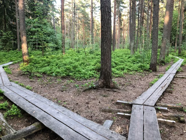 Jollaksen rämeen luonnonsuojelualue