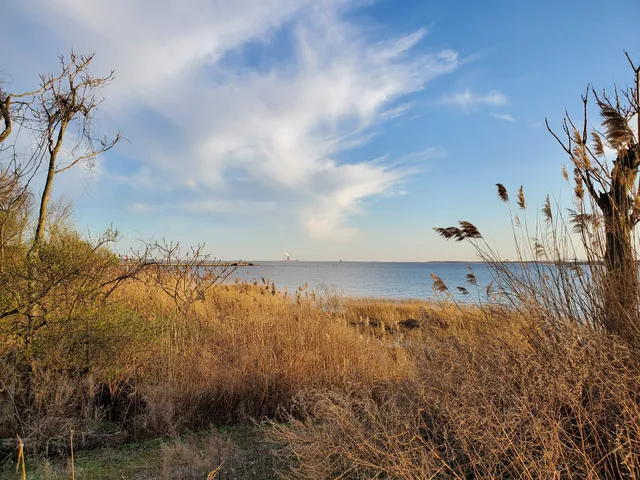 Delaware River Nature Reserve