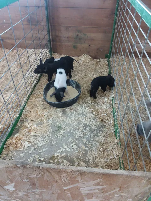 Beltrami County Fairgrounds