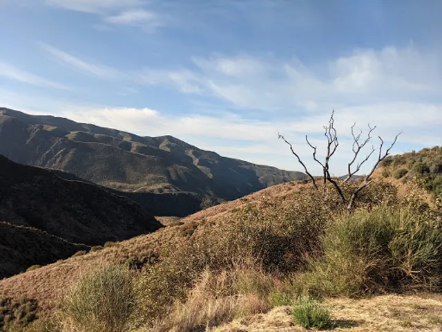 Sespe Hot Springs
