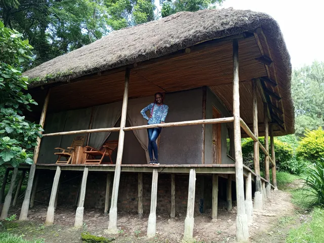 sharp island gorilla lodge