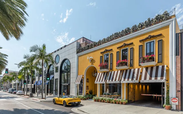 The Rodeo Collection🛍