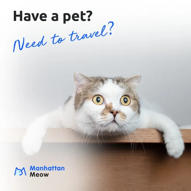 Manhattan Meow LLC