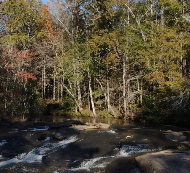 Arabia Mountain National Heritage Area