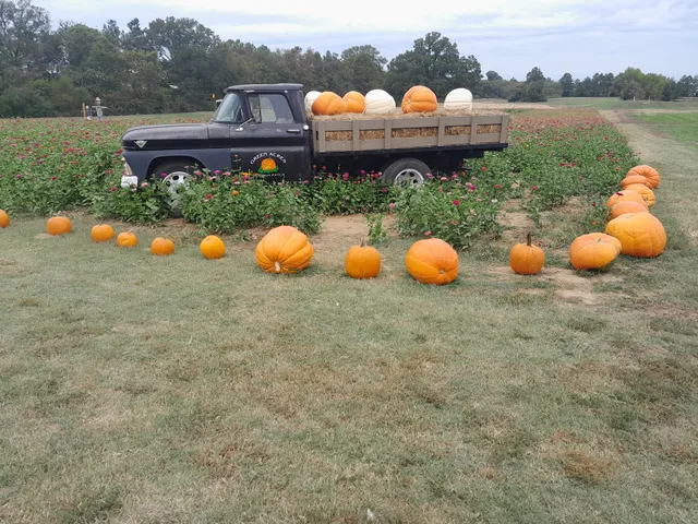 Green Acres Berry and Pumpkin Patch
