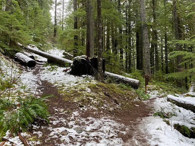 Indian Henry Campground