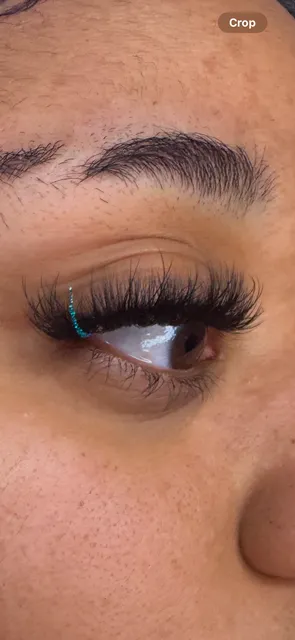 The LOTUS Lash Lounge and Body Boutique