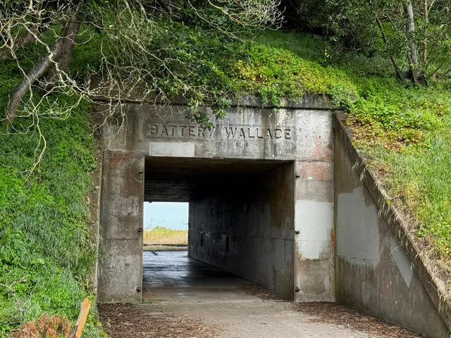 Battery Wallace