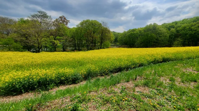 Shikada-yama Footpath