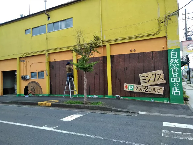 ミンクスネットワーク