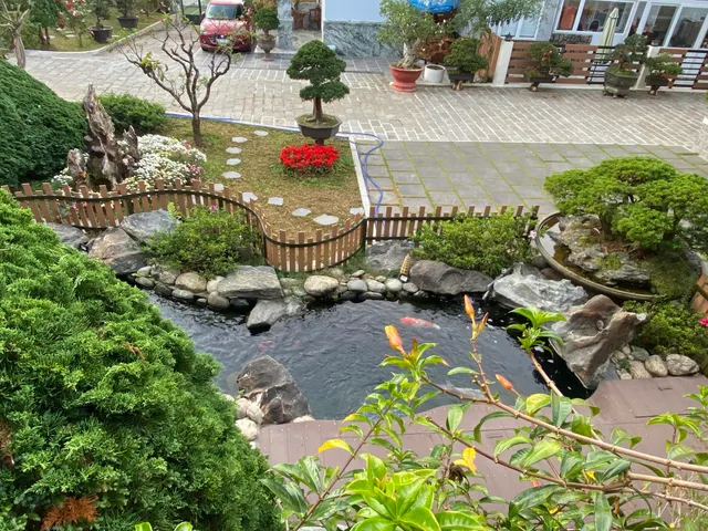 Homestay Dốc Tình