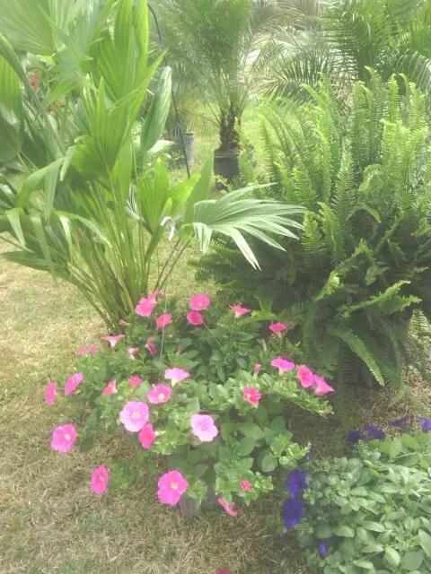 Gardendale Farmers Market