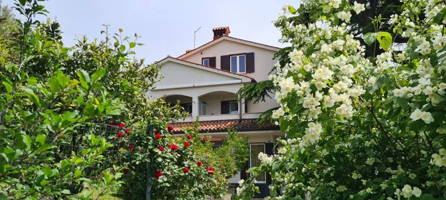 Hiša Olive Garden Strunjan