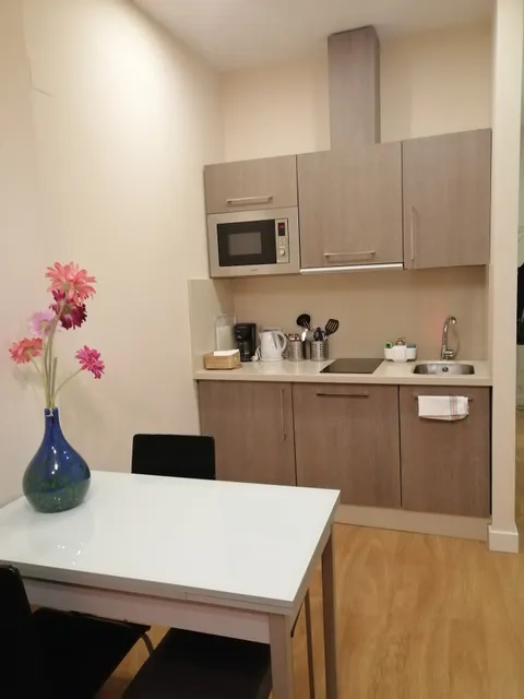 SEVITUR Seville Comfort Apartments