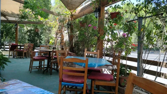 Κιβωτός του Νώε (Noah's Ark Restaurant) Kivotos tou Noe