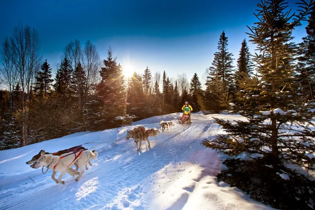 Kearney Dog Sled Races