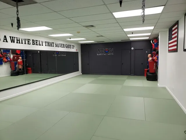 Aeon Martial Arts - Flushing