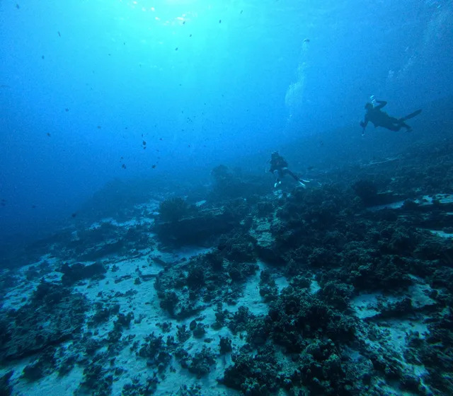 Yonegan Pro-Diver Maui