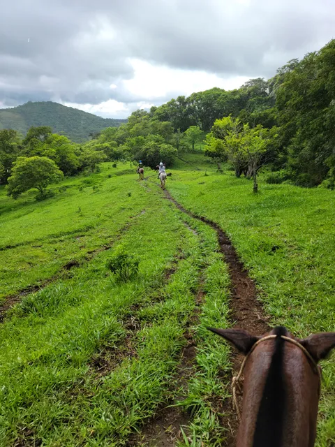 Granja Monteverde Equus