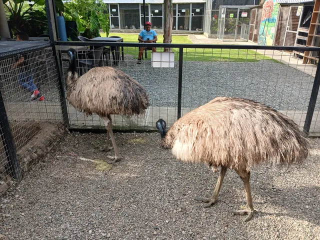 JD Dominican Farm en Moca