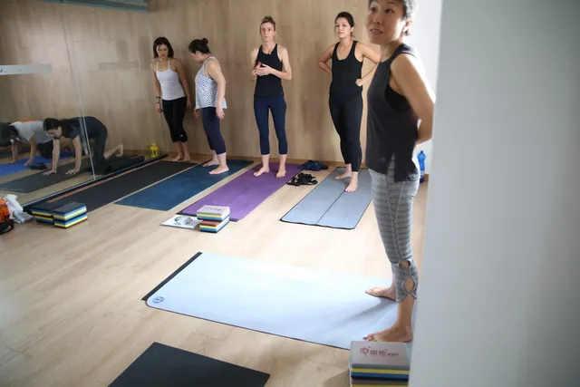 Drishti Vinyasa Yoga Shala