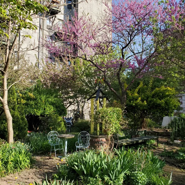 Francisco “Pancho” Ramos Community