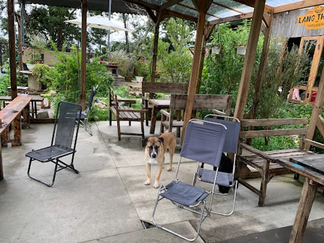 Lang Thang Cafe & Beer