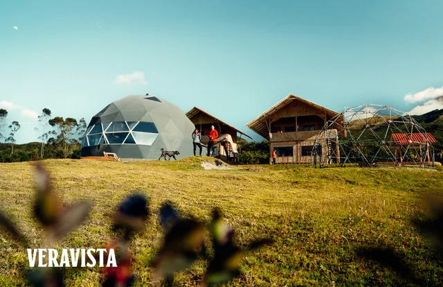 VERAVISTA