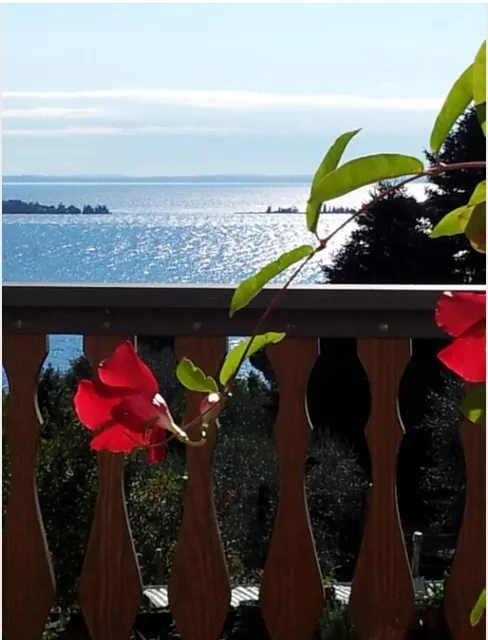 Appartamento Lago Blu