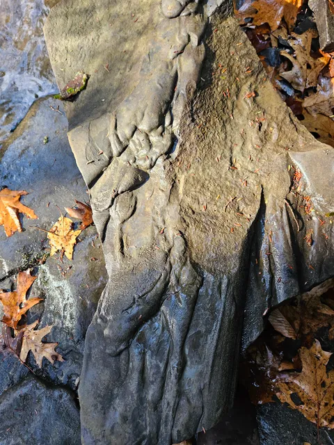 Creekside Sports, LLC