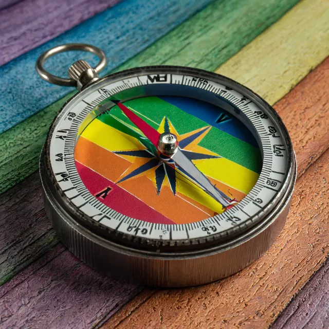 The Lakeshore Collective