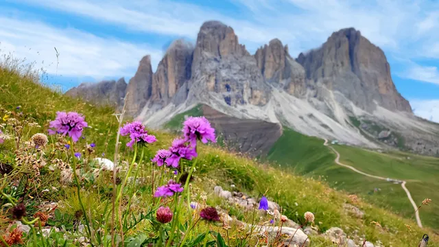 Societa Incremento Turistico Canazei SP A. - Funivia Col Rodella