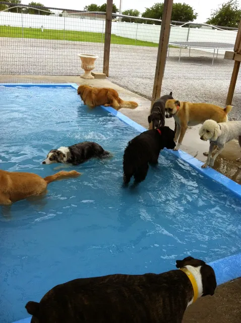 Noah's Bed & Biscuit