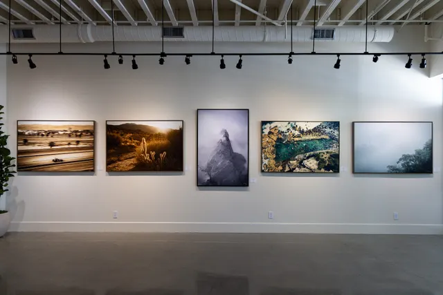 Bo Bridges Gallery