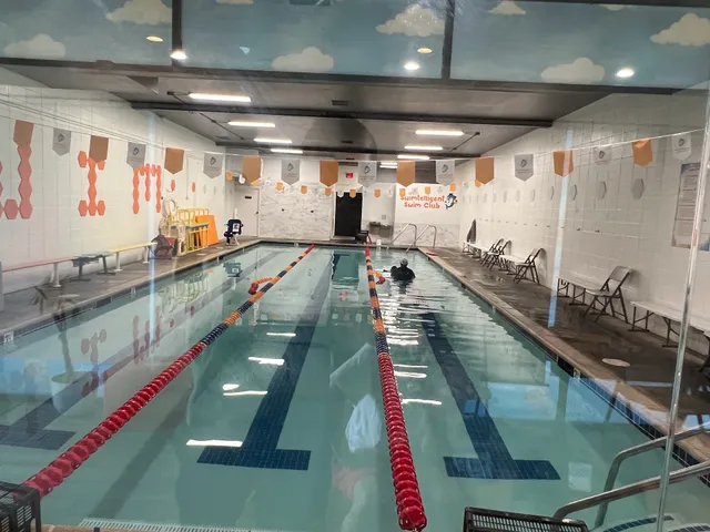 Swimtelligent Swim Club