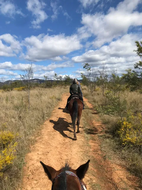 Hunter Farm & Adventure Centre - Pokolbin