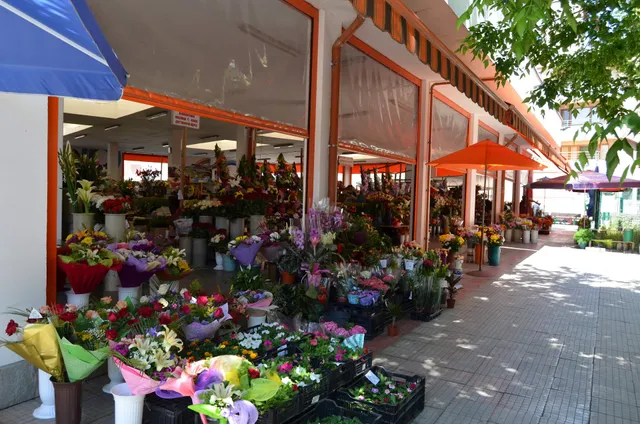 Четвъртък пазар (Thursday Market - farmers market)