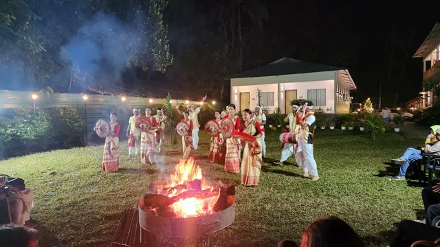 Jungleciti House, Kaziranga