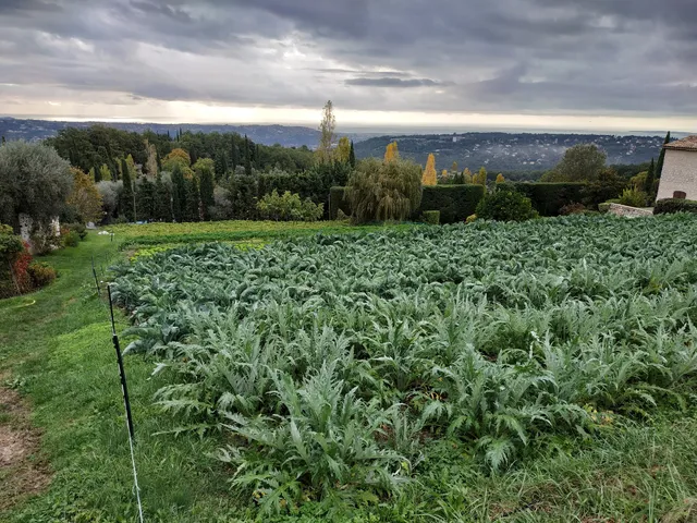 Le Marché Bio de St Jeannet