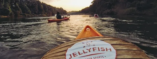 Jellyfish Watersports & Houseboat