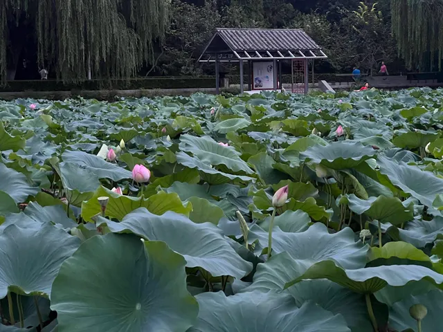 Zhengzhou Zijingshan Park （North Gate）