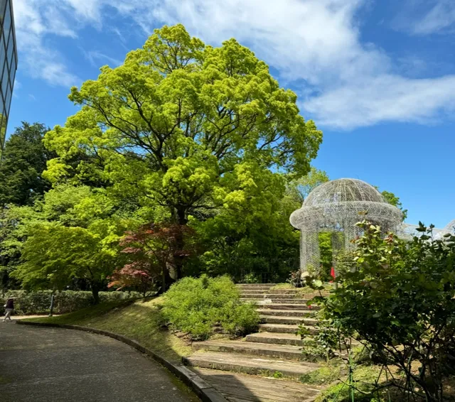Odawara Flower Garden Parking Lot