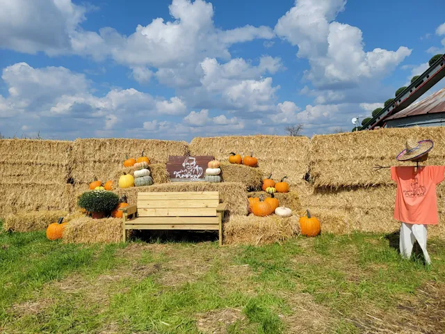 Papo's Pumpkin Patch