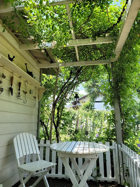 Garden Cafe Green Rose